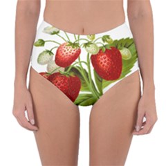 Food Fruit Leaf Leafy Leaves Reversible High-waist Bikini Bottoms by Nexatart