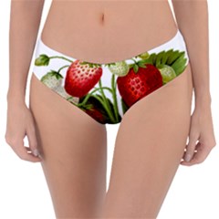 Food Fruit Leaf Leafy Leaves Reversible Classic Bikini Bottoms by Nexatart