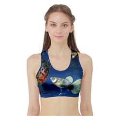 Marine Fishes Sports Bra With Border by BangZart