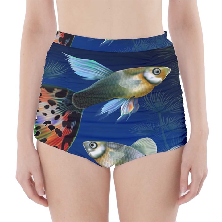 Marine Fishes High-Waisted Bikini Bottoms