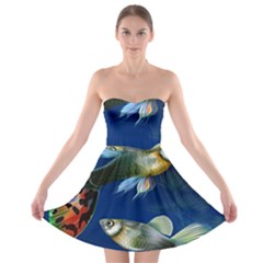 Marine Fishes Strapless Bra Top Dress by BangZart