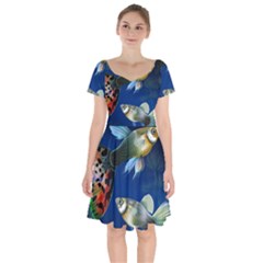 Marine Fishes Short Sleeve Bardot Dress