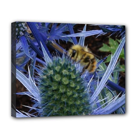 Chihuly Garden Bumble Deluxe Canvas 20  X 16   by BangZart