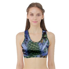 Chihuly Garden Bumble Sports Bra With Border by BangZart