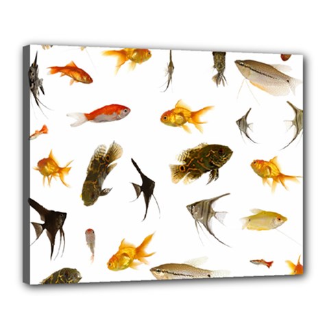 Goldfish Canvas 20  X 16  by BangZart