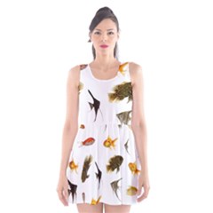 Goldfish Scoop Neck Skater Dress by BangZart