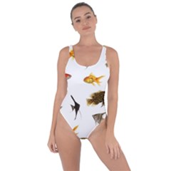 Goldfish Bring Sexy Back Swimsuit by BangZart