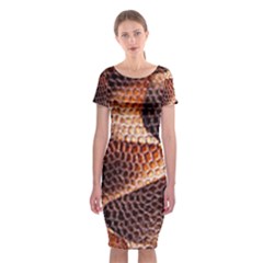 Snake Python Skin Pattern Classic Short Sleeve Midi Dress by BangZart