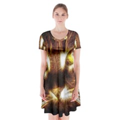 Cat Face Short Sleeve V-neck Flare Dress by BangZart