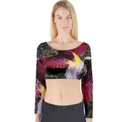 Cendrawasih Beautiful Bird Of Paradise Long Sleeve Crop Top