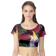 Cendrawasih Beautiful Bird Of Paradise Short Sleeve Crop Top (tight Fit) by BangZart