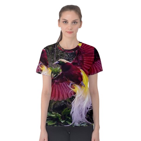 Cendrawasih Beautiful Bird Of Paradise Women s Cotton Tee by BangZart