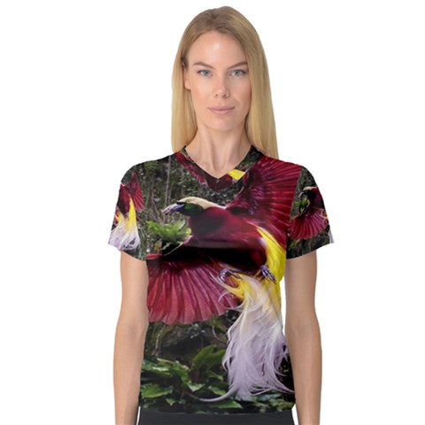 Cendrawasih Beautiful Bird Of Paradise V-neck Sport Mesh Tee by BangZart