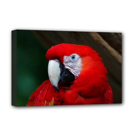 Scarlet Macaw Bird Deluxe Canvas 18  X 12   by BangZart