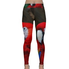 Scarlet Macaw Bird Classic Yoga Leggings by BangZart