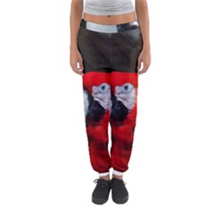 Scarlet Macaw Bird Women s Jogger Sweatpants by BangZart