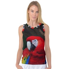 Scarlet Macaw Bird Women s Basketball Tank Top by BangZart