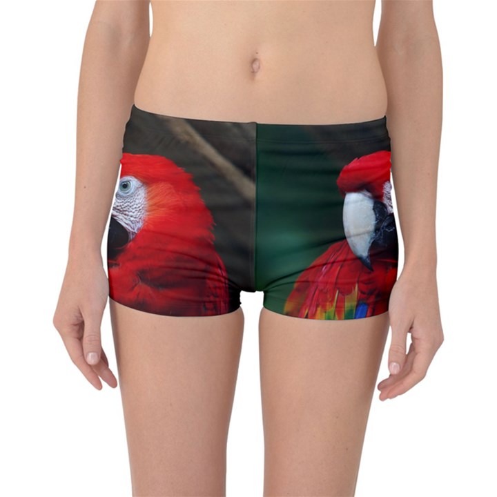 Scarlet Macaw Bird Reversible Boyleg Bikini Bottoms