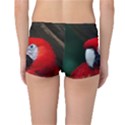 Scarlet Macaw Bird Reversible Boyleg Bikini Bottoms View2