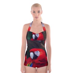 Scarlet Macaw Bird Boyleg Halter Swimsuit  by BangZart