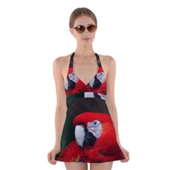 Scarlet Macaw Bird Halter Swimsuit Dress by BangZart