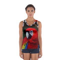 Scarlet Macaw Bird Sport Tank Top  by BangZart