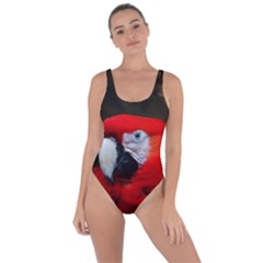 Scarlet Macaw Bird Bring Sexy Back Swimsuit by BangZart