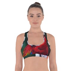 Scarlet Macaw Bird Cross Back Sports Bra by BangZart