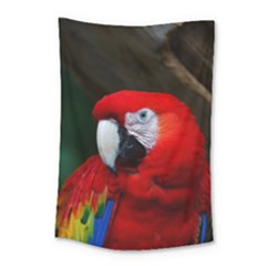 Scarlet Macaw Bird Small Tapestry by BangZart