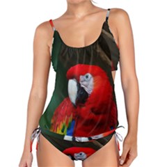 Scarlet Macaw Bird Tankini Set