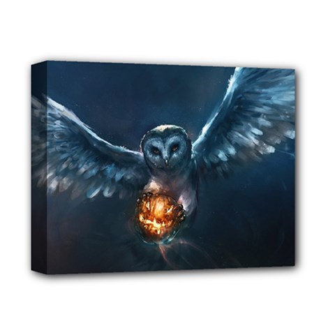 Owl And Fire Ball Deluxe Canvas 14  X 11  by BangZart