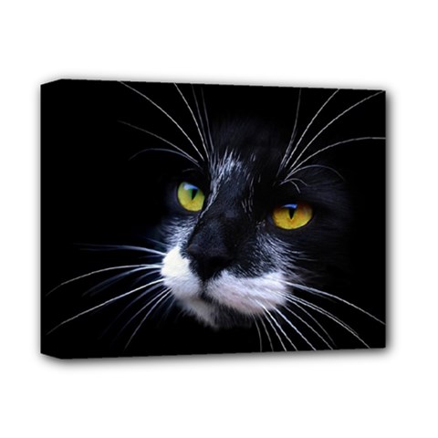 Face Black Cat Deluxe Canvas 14  X 11  by BangZart