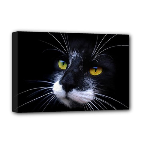 Face Black Cat Deluxe Canvas 18  X 12   by BangZart