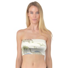 Dinosaur Art Pattern Bandeau Top by BangZart