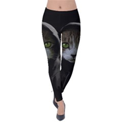 Gangsta Cat Velvet Leggings by Valentinaart