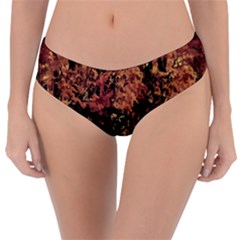 Landscape Reversible Classic Bikini Bottoms