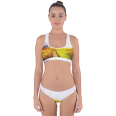 Landscape Cross Back Hipster Bikini Set