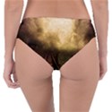 Landscape Reversible Classic Bikini Bottoms View2