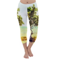 Landscape Capri Winter Leggings  by Valentinaart