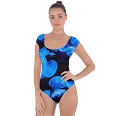 Jellyfish  Short Sleeve Leotard 