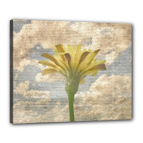 Shabby Chic Style Flower Over Blue Sky Photo  Canvas 20  X 16  by dflcprints