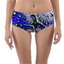 Fractal Fantasy 717c Reversible Mid-Waist Bikini Bottoms View1