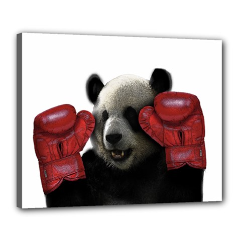 Boxing Panda  Canvas 20  X 16  by Valentinaart