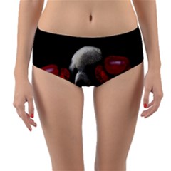 Boxing Panda  Reversible Mid-waist Bikini Bottoms