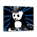 Deejay panda Canvas 10  x 8  View1