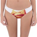 Nuclear Explosion Reversible Hipster Bikini Bottoms View1