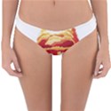 Nuclear Explosion Reversible Hipster Bikini Bottoms View3