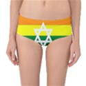 GAY PRIDE Israel Flag Mid-Waist Bikini Bottoms View1