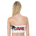 Great Dane Bandeau Top View2