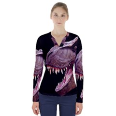 Dinosaurs T-rex V-neck Long Sleeve Top